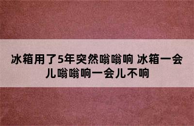 冰箱用了5年突然嗡嗡响 冰箱一会儿嗡嗡响一会儿不响